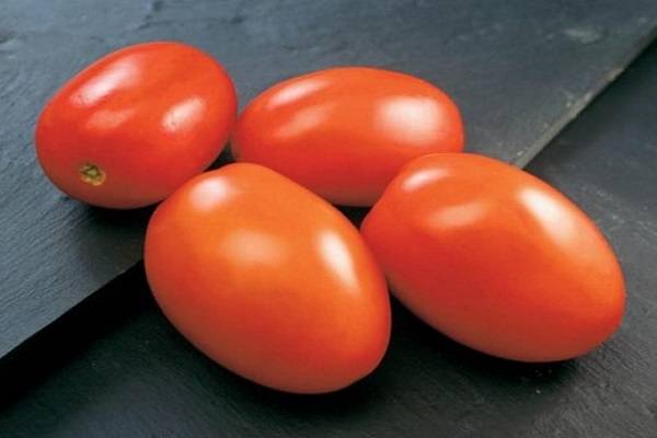 Неприхотливая новинка из японии — томат диаболик f1: описание сорта и особенности его выращивания