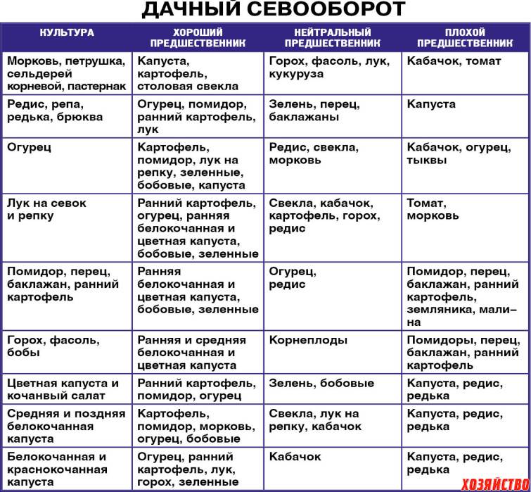 Правила севооборота: что после чего можна сажать на следующий год на огороде, таблица