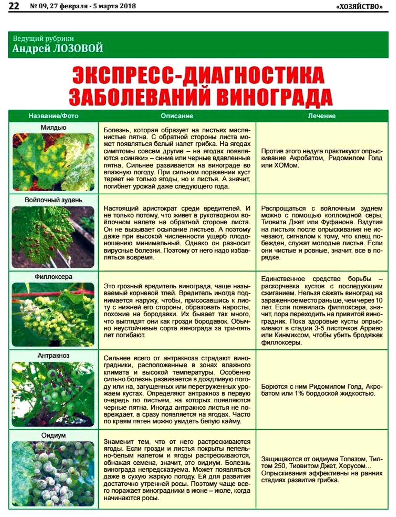 Схема обработки сада от вредителей