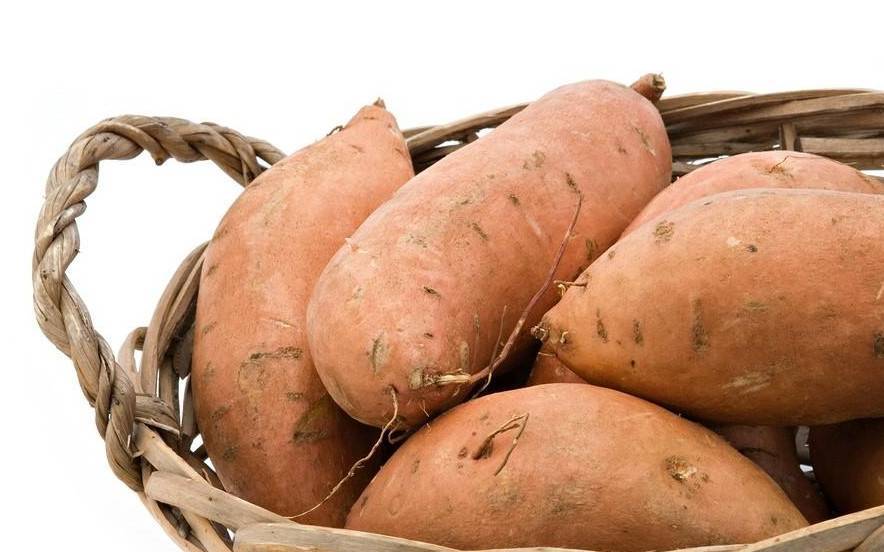 Картофель сорта "лапоть": описание и фото сибирского овоща, а также характеристики клубней и инструкция по выращиванию