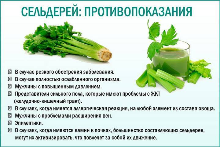 Салат с сельдереем стеблевым – рецепты для похудения: блюда с фото