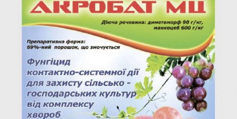 Особенности фунгицида «акробат мц», назначение и правильная дозировка препарата