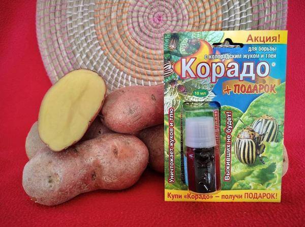 «корадо» от колорадского жука и тли