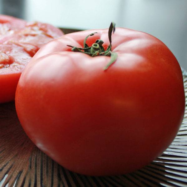 Король ранних — скороспелый томат с крупными плодами