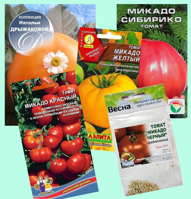 Томат микадо розовый: характеристика и описание сорта, фото, отзывы, урожайность, видео