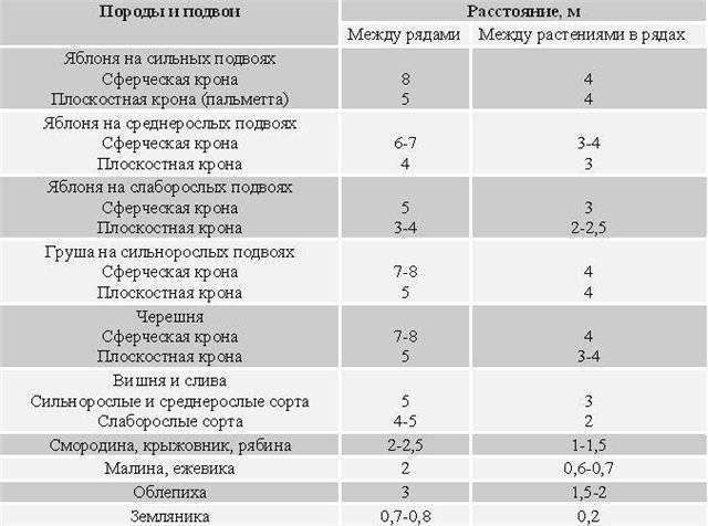Схема посадки черешни на 1 га