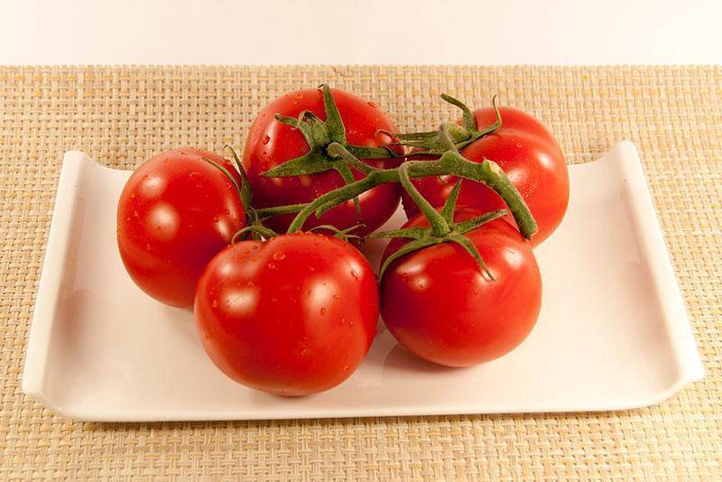 Особенности гибридного сорта томатов бобкат f1
