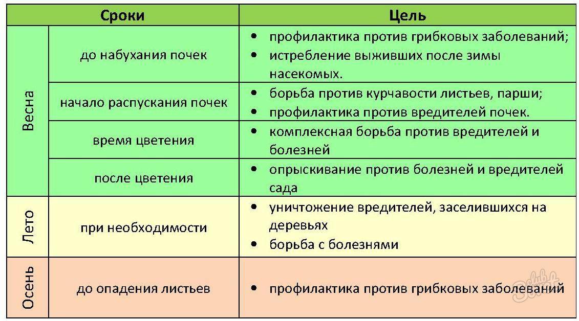 Чем обработать яблони от парши