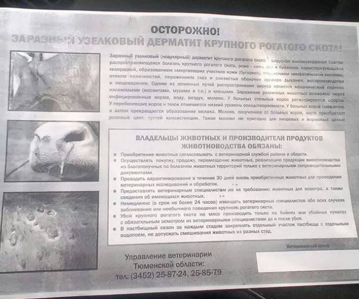 Публикации