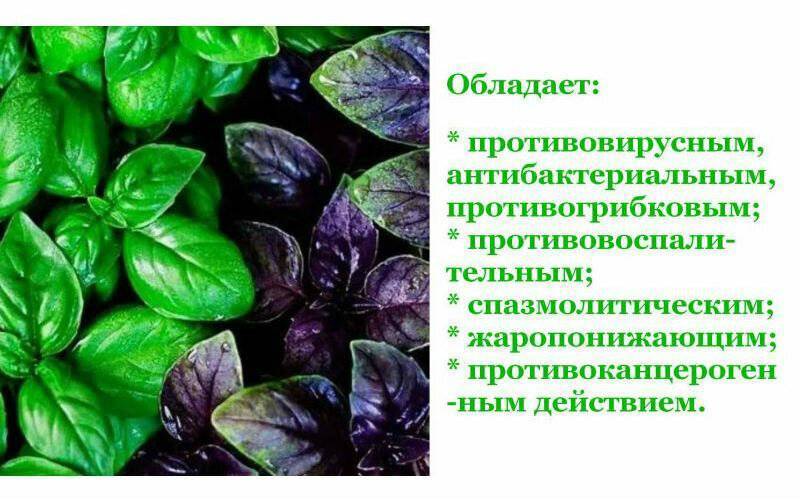 Польза лечебного голодания для организма и вред - особенности, противопоказания