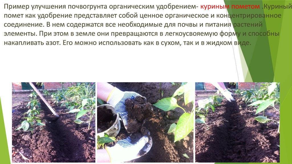 Птичий помёт как удобрение - использование