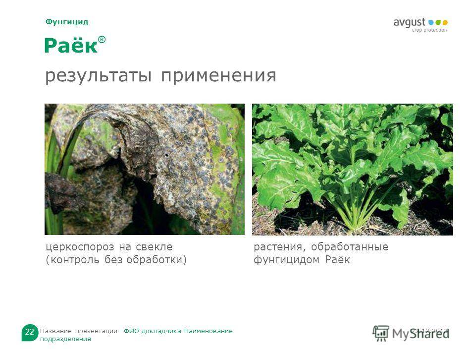 Как использовать фунгицид «раек»?