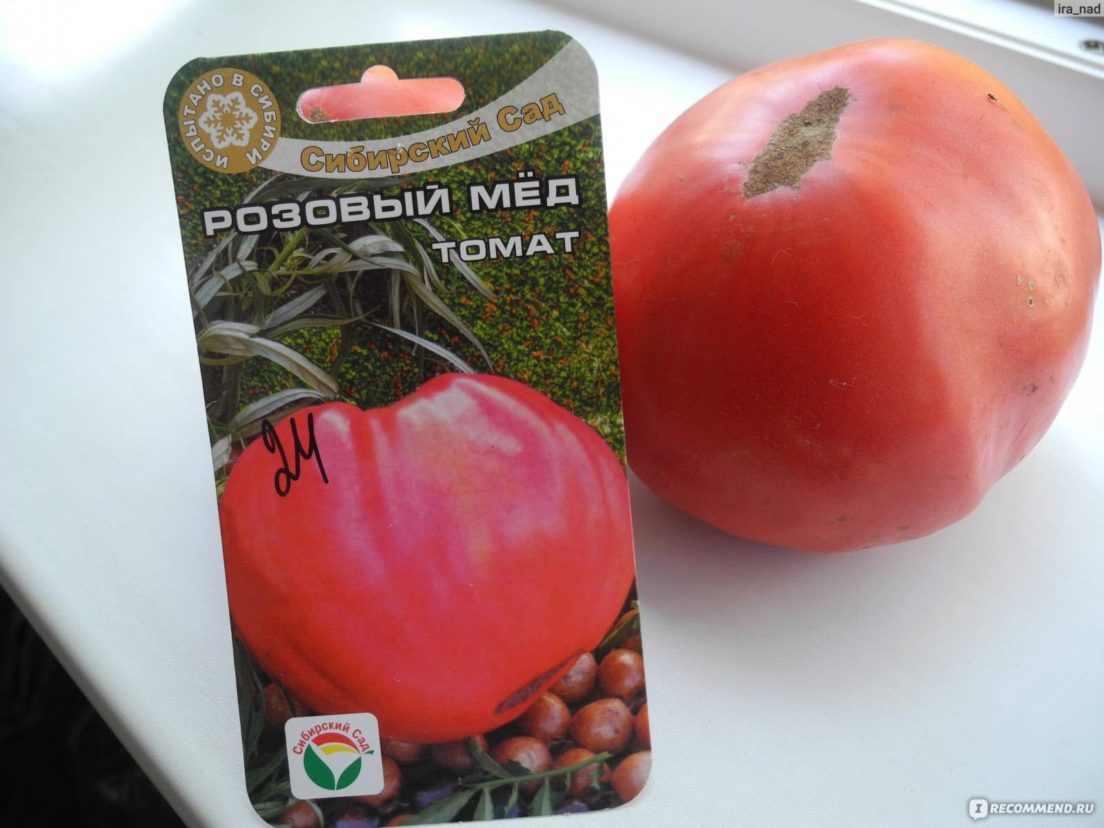Розовый мед томат описание и фото