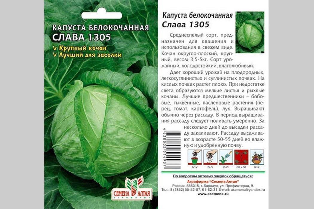 Капуста этма f1: описание и характеристика раннего гибрида, отзывы о вкусовых качествах и урожайности, фото семян етмы ф1