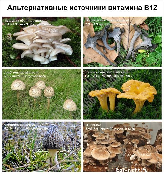 Витамины для беременных и кормящих женщин