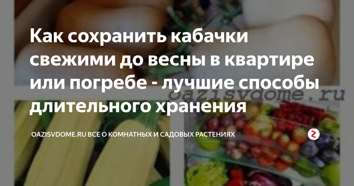 Как хранить свежие кабачки в погребе на зиму. Как хранить кабачки в погребе. Как сохранить кабачки на зиму в домашних условиях. Сколько хранится кабачок свежий.