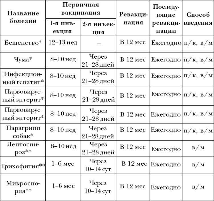 Ревакцинация от covid-19: 15 самых главных вопросов. официальная информация - фарммедпром