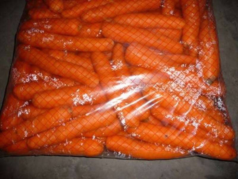 Лучшие способы, как хранить морковь зимой и правила выкапывания и подготовки овоща