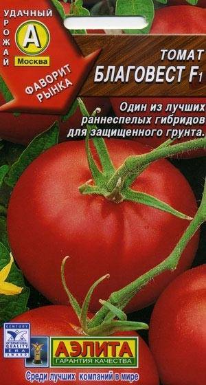 Благовест томаты: отзывы, фото, характеристика и описание сорта