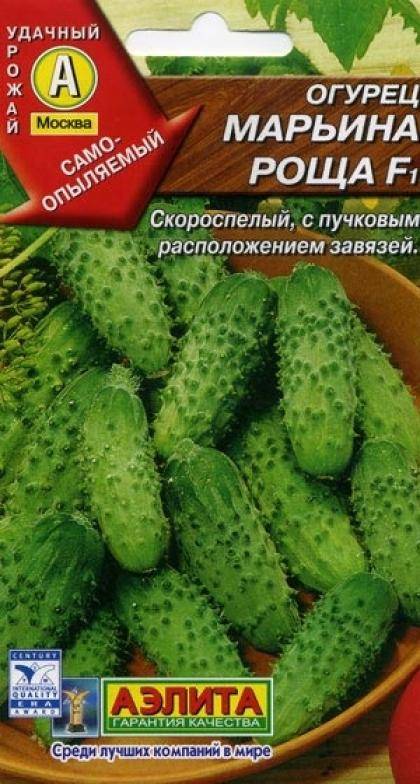 Сорт огурцов марьина роща f1: характеристика, описание с фото, отзывы