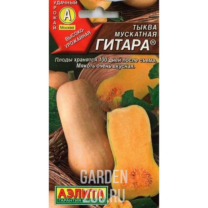 Выращивание тыквы Гитара