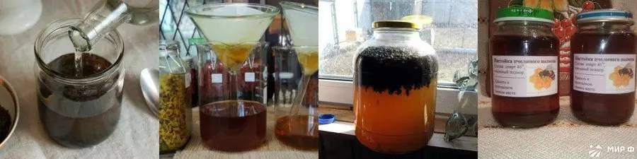 Пчелиный подмор: настойка на водке, на спирту, при каких заболеваниях и как принимать, рецепты