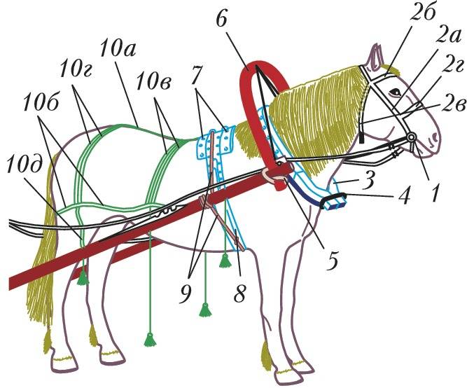 Сбруя для лошадей схема