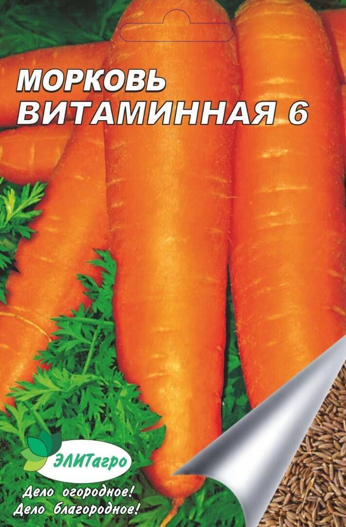 Сорт моркови витаминная 6: фото, отзывы, описание, характеристики.