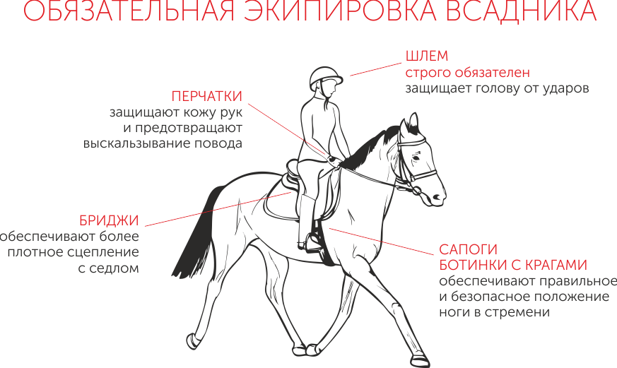 Как правильно ездить на лошади