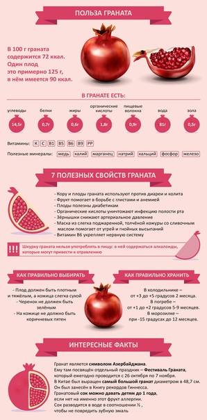 Гранат: польза и вред для организма и здоровья человека | официальный сайт – “славянская клиника похудения и правильного питания”