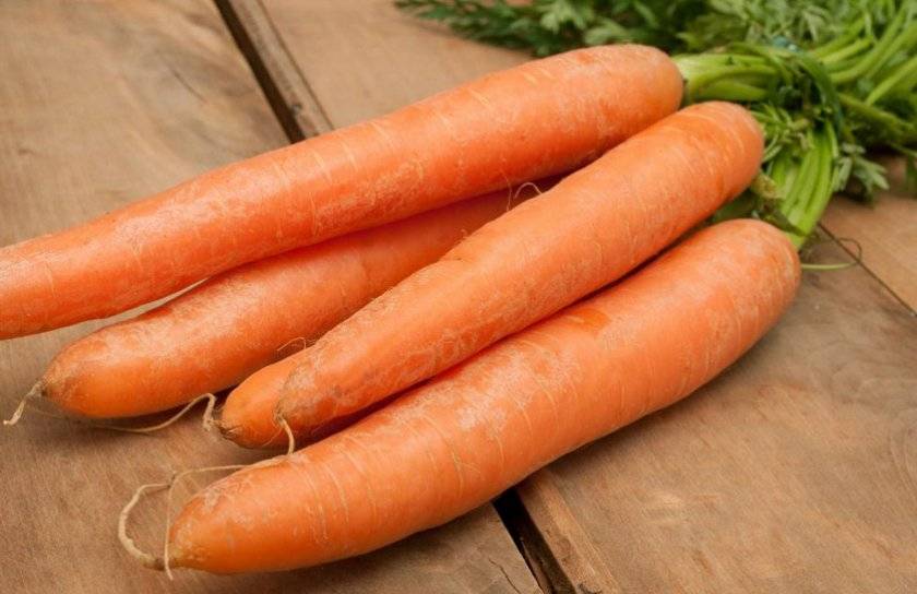 Лучшие сорта моркови для урала: для открытого грунта, отзывы о посадке семенами в открытый грунт, фото с описанием, советы по хранению, какие лучше сажать