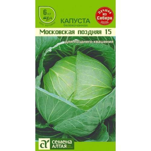 Капуста вьюга: описание и характеристика, достоинства и недостатки, выращивание и уход, фото