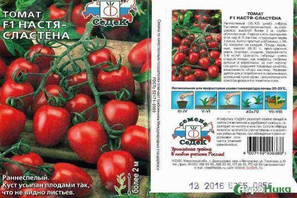 Отличный мелкоплодный сорт для засолки: томат анастасия: советы дачников по выращиванию и уходу