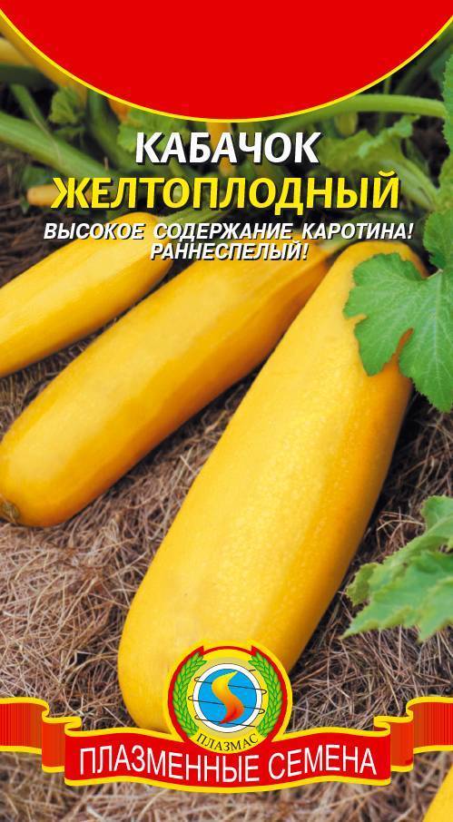 Лучшие сорта желтых кабачков - сад и огород