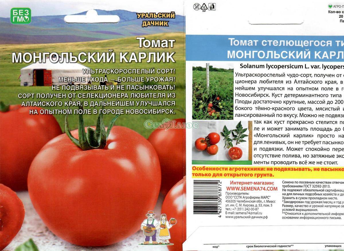сорт томатов монгольский карлик фото