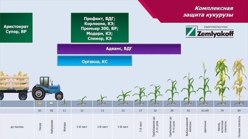 Гербициды для кукурузы после всходов, до всходов. кукуруза на зерно, на силос в 2021 году