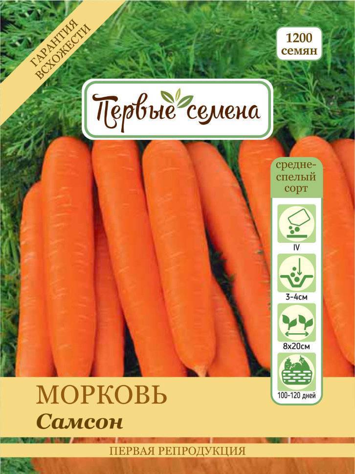 Морковь берликум роял: описание, фото, отзывы