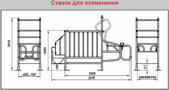 Станок для опороса свиней чертежи и размеры