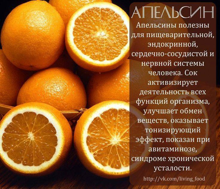 Польза и вред апельсина, витамины, свойства, сколько | полезен ли