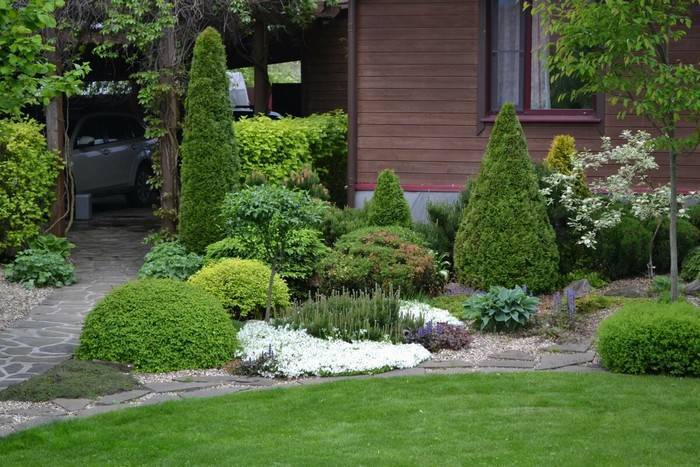 Хосты в саду: ландшафтные хитрости, где и с чем посадить на клумбе, лучшие соседи, дизайн с астильбами и лилейниками
 - 11 фото