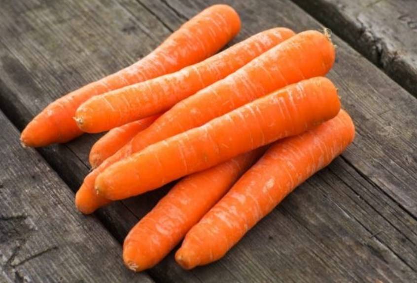 Морковь лосиноостровская: описание и характеристика сорта, выращивание и уход, фото, отзывы