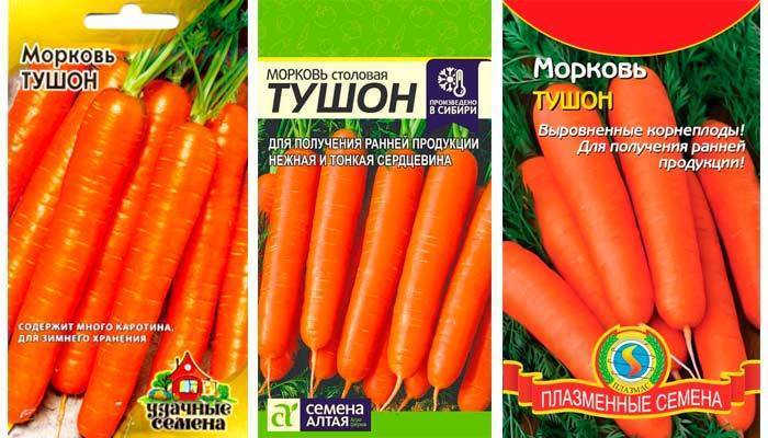 Морковь тушон: описание сорта, отзывы » eтеплица