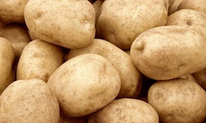 Сорт картофеля тулеевский, описание, фото, особенности.