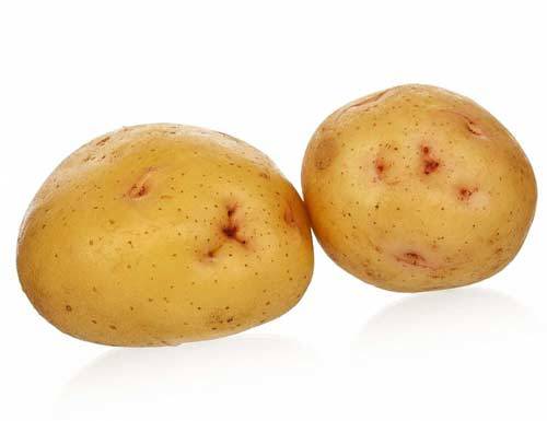 Описание сорта картофеля зекура: характеристики, особенности выращивания и хранения