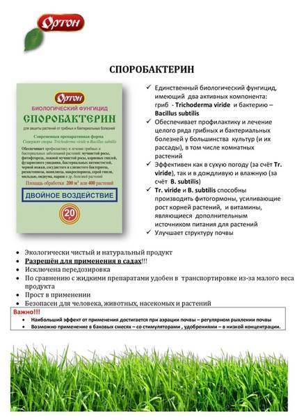 Фитоспорин - инструкция, применение, подробное описание, нормы расхода