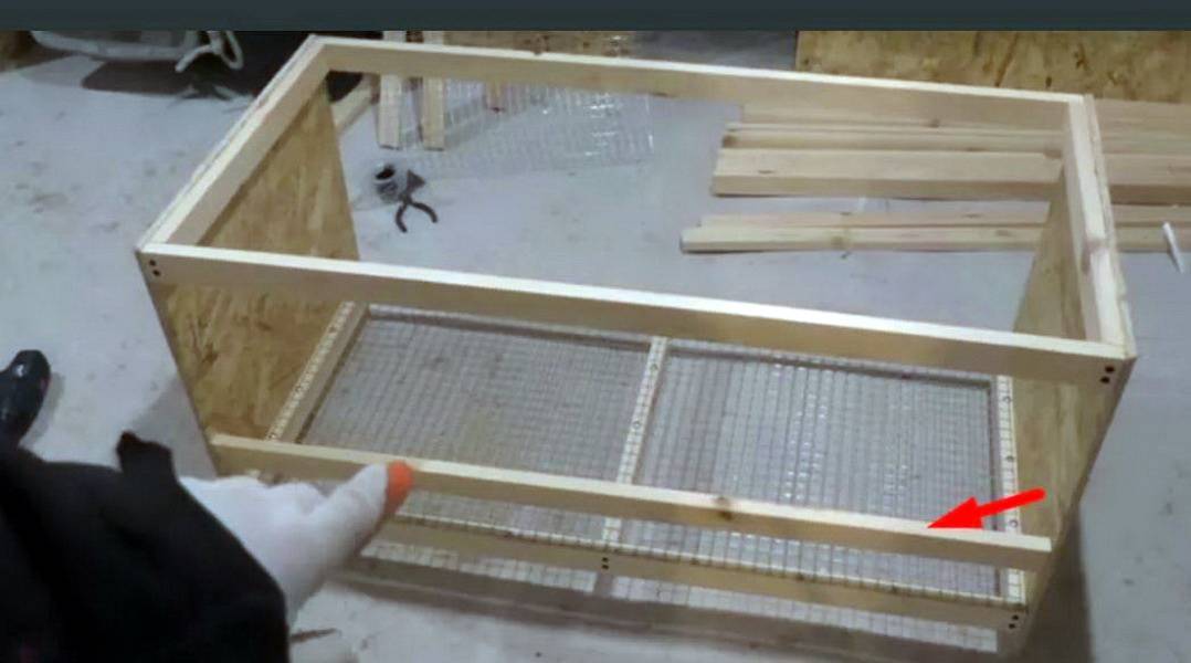 Сделать брудер для цыплят своими руками пошаговая инструкция размеры чертежи и фото пошагово