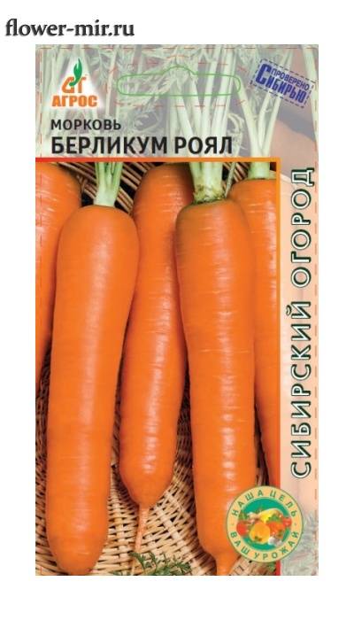 Морковь берликум роял: описание и характеристика сорта, выращивание и уход, фото