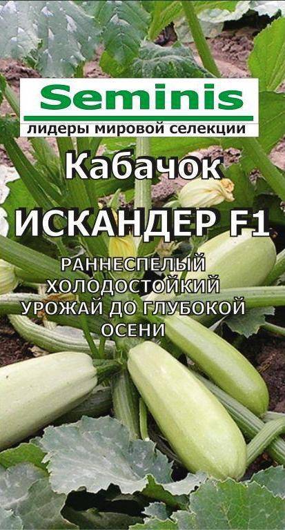 Кабачки Искандер Купить Семена В Москве