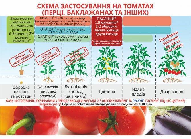 Что добавить при посадке томатов в лунку