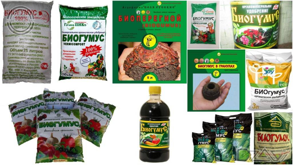 Биогумус для рассады (томатов, перца, комнатных растений), удобрение жидкий биогумус как использовать